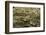 Oedipoda Caerulescens (Blue-Winged Grasshopper)-Paul Starosta-Framed Photographic Print