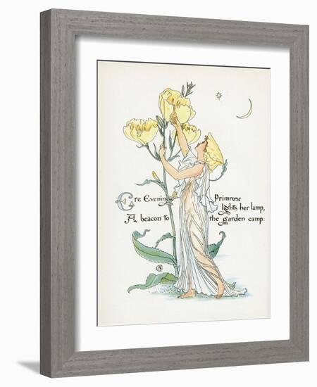 Oenothera Missouriensis-Walter Crane-Framed Art Print