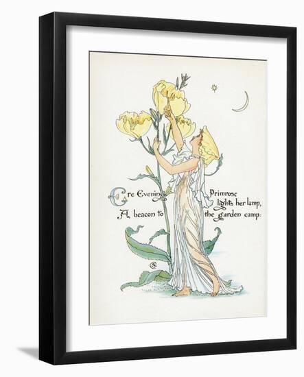 Oenothera Missouriensis-Walter Crane-Framed Art Print