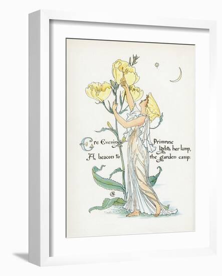 Oenothera Missouriensis-Walter Crane-Framed Art Print