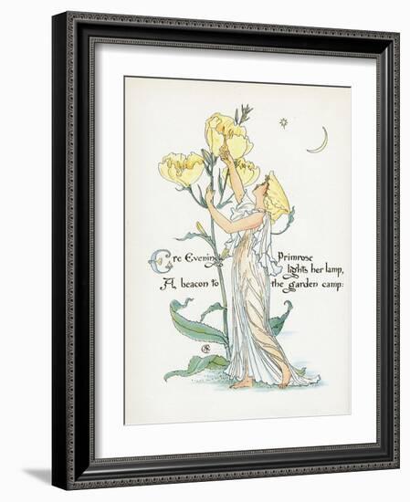 Oenothera Missouriensis-Walter Crane-Framed Art Print