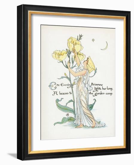 Oenothera Missouriensis-Walter Crane-Framed Art Print