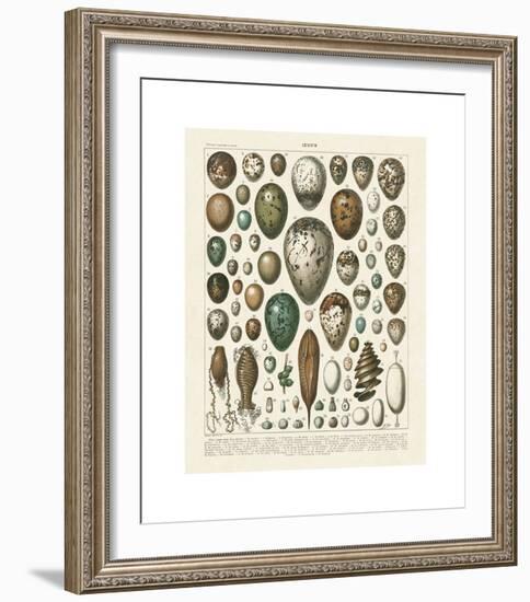 Oeufs-Adolphe Millot-Framed Giclee Print