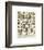 Oeufs-Adolphe Millot-Framed Giclee Print