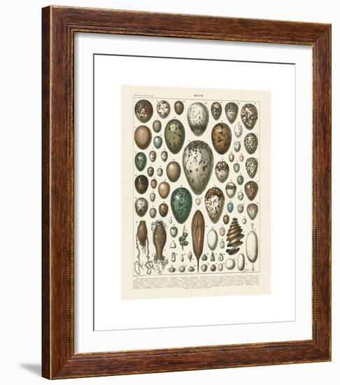 Oeufs-Adolphe Millot-Framed Giclee Print