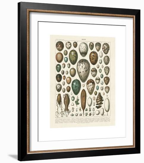 Oeufs-Adolphe Millot-Framed Giclee Print