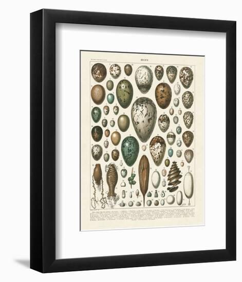 Oeufs-Adolphe Millot-Framed Art Print