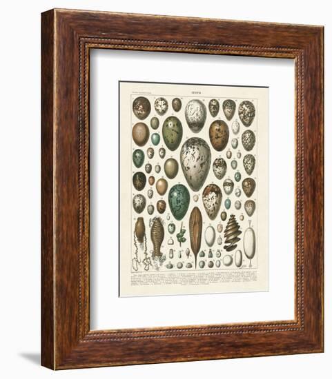 Oeufs-Adolphe Millot-Framed Art Print