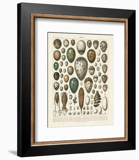 Oeufs-Adolphe Millot-Framed Art Print