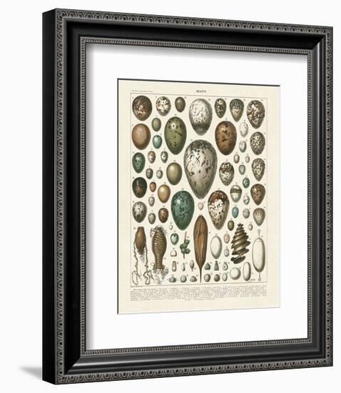 Oeufs-Adolphe Millot-Framed Art Print