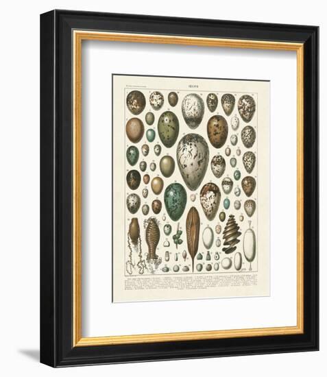 Oeufs-Adolphe Millot-Framed Art Print