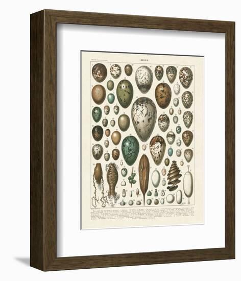 Oeufs-Adolphe Millot-Framed Art Print