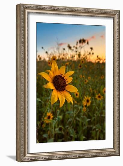 Of Many-Bob Larson-Framed Art Print