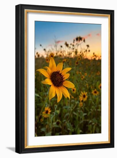 Of Many-Bob Larson-Framed Art Print