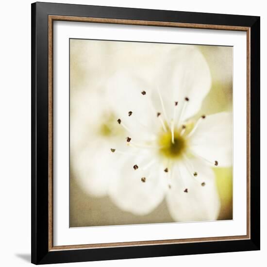 Of Spring-Jessica Rogers-Framed Giclee Print