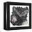 Of The Night-Kirstie Adamson-Framed Premier Image Canvas