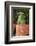 Offerings, Gwaneumsa Temple, Jeju Island, South Korea, Asia-Richard Cummins-Framed Photographic Print