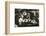 Office workers lunching in a restaurant, New York, USA, early 1930s-Unknown-Framed Photographic Print