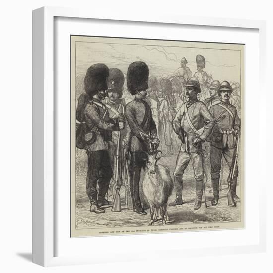 Officers and Men of the 23rd Fusiliers in their Ordinary Uniform and as Equipped for the Gold Coast-Charles Robinson-Framed Giclee Print