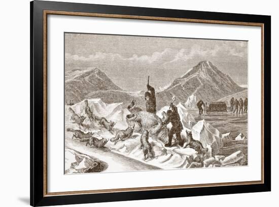 Officious Foxes, 1876-null-Framed Giclee Print