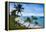Ofu Island, Manu'A Island Group, American Samoa, South Pacific-Michael Runkel-Framed Premier Image Canvas