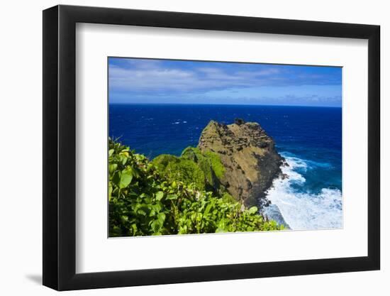 Ofu Island, Manu'A Island Group, American Samoa, South Pacific-Michael Runkel-Framed Photographic Print