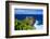 Ofu Island, Manu'A Island Group, American Samoa, South Pacific-Michael Runkel-Framed Photographic Print