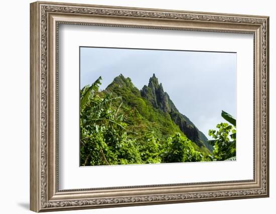 Ofu Island, Manu'A Island Group, American Samoa, South Pacific-Michael Runkel-Framed Photographic Print