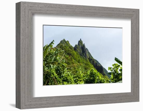 Ofu Island, Manu'A Island Group, American Samoa, South Pacific-Michael Runkel-Framed Photographic Print