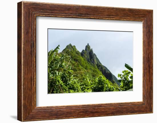 Ofu Island, Manu'A Island Group, American Samoa, South Pacific-Michael Runkel-Framed Photographic Print