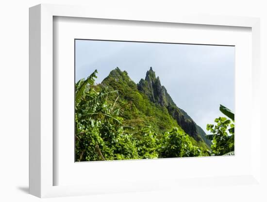 Ofu Island, Manu'A Island Group, American Samoa, South Pacific-Michael Runkel-Framed Photographic Print