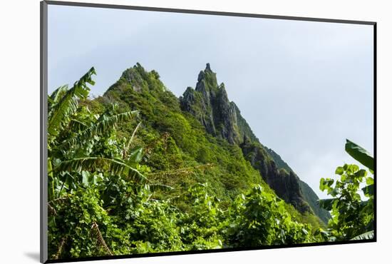 Ofu Island, Manu'A Island Group, American Samoa, South Pacific-Michael Runkel-Mounted Photographic Print