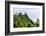 Ofu Island, Manu'A Island Group, American Samoa, South Pacific-Michael Runkel-Framed Photographic Print