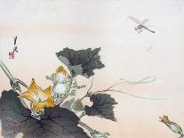 Dragonfly and a Pumpkin Blossom-Ogata Gekko-Framed Giclee Print