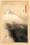 Fuji From the Beach at Mio, 1900-10-Ogata Gekko-Giclee Print