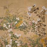 Flowering Plants in Autumn, 18th Century-Ogata Korin-Framed Giclee Print