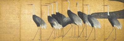 Six-Panel Screen Depicting Cranes, Edo Period-Ogata Korin-Giclee Print