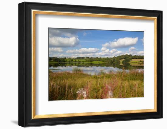 Ogston Reservoir, Derbyshire, England, United Kingdom, Europe-Frank Fell-Framed Photographic Print