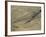 Ogygiopsis Klotzi, Fossil, Trilobite 50Mm Long with Small Fault Through It, Burgess Shale-Tony Waltham-Framed Photographic Print