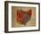 OH Colorful Counties-Red Atlas Designs-Framed Giclee Print