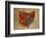 OH Colorful Counties-Red Atlas Designs-Framed Giclee Print