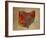 OH Colorful Counties-Red Atlas Designs-Framed Giclee Print