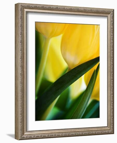 Oh So Close 1-Doug Chinnery-Framed Photographic Print