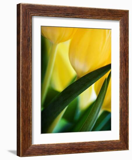 Oh So Close 1-Doug Chinnery-Framed Photographic Print