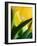 Oh So Close 1-Doug Chinnery-Framed Photographic Print