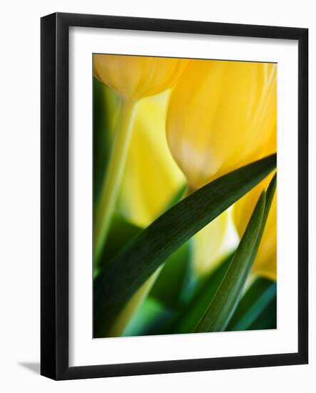 Oh So Close 1-Doug Chinnery-Framed Photographic Print