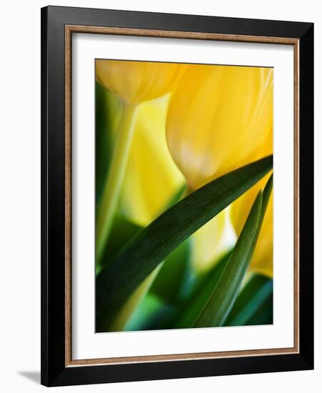 Oh So Close 1-Doug Chinnery-Framed Photographic Print