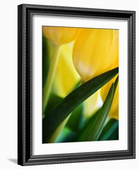 Oh So Close 1-Doug Chinnery-Framed Photographic Print