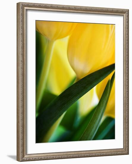 Oh So Close 1-Doug Chinnery-Framed Photographic Print