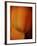 Oh So Close 3-Doug Chinnery-Framed Photographic Print